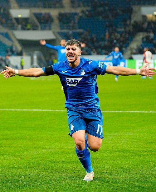 霍芬海姆vs沙尔克