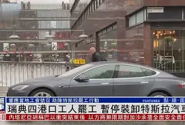 开云在线登陆入口-首战告捷二三战叫什么